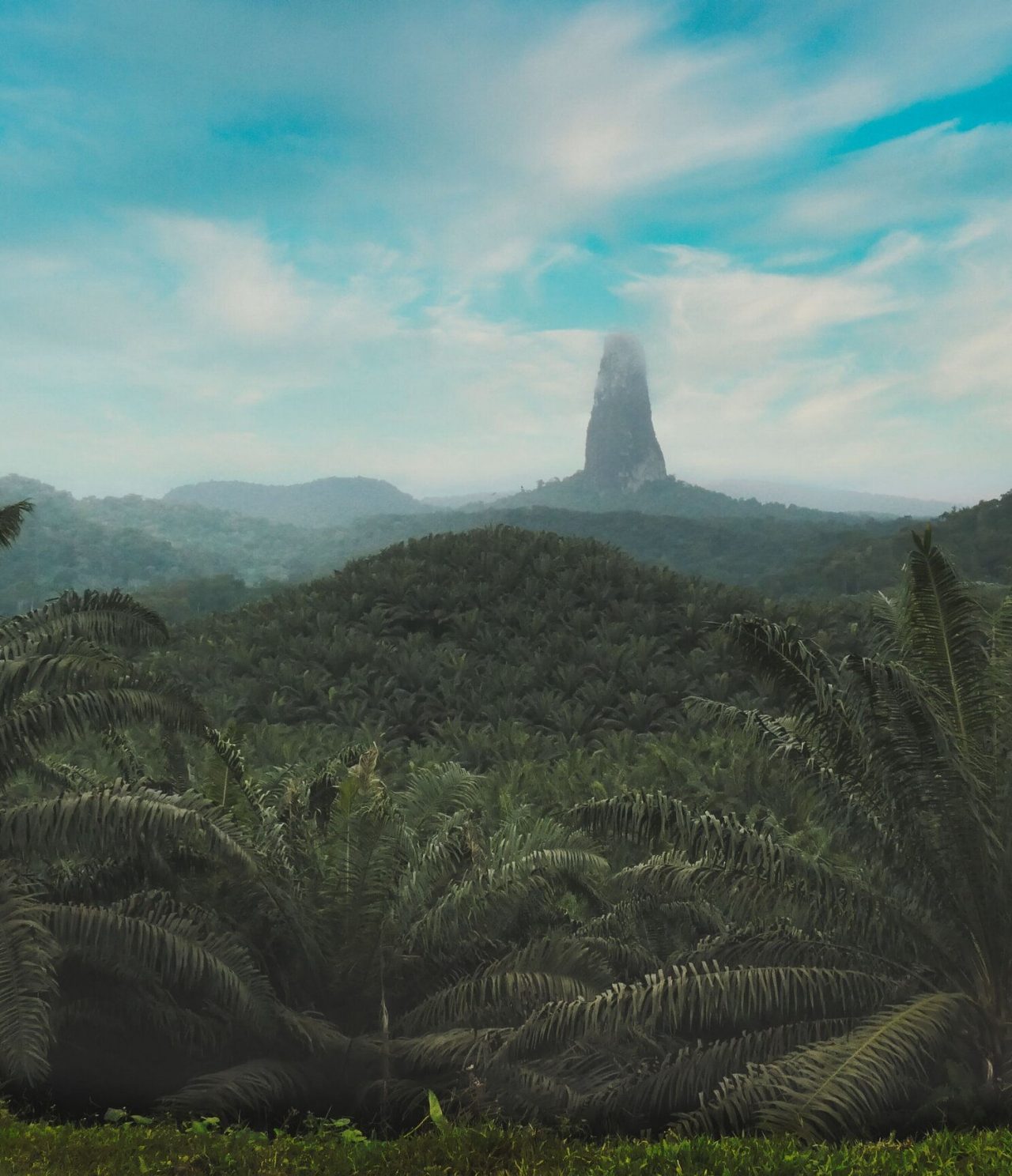 Vista de un bosque en la isla de São Tomé y Príncipe, con algo de niebla al fondo y un cielo azul