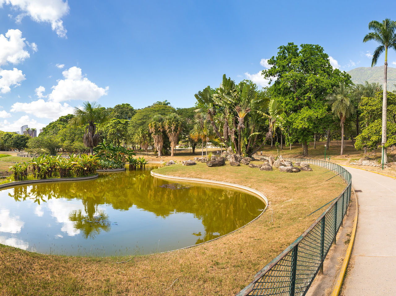 Lago artificial con forma curva en un parque de Caracas, rodeado de árboles y un cielo azul