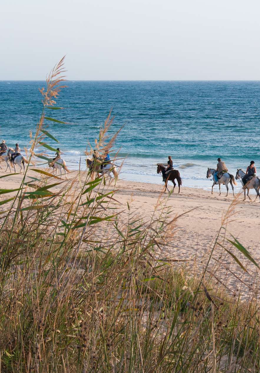 Grupo de personas paseando a caballo por la orilla del mar en las playas de Comporta