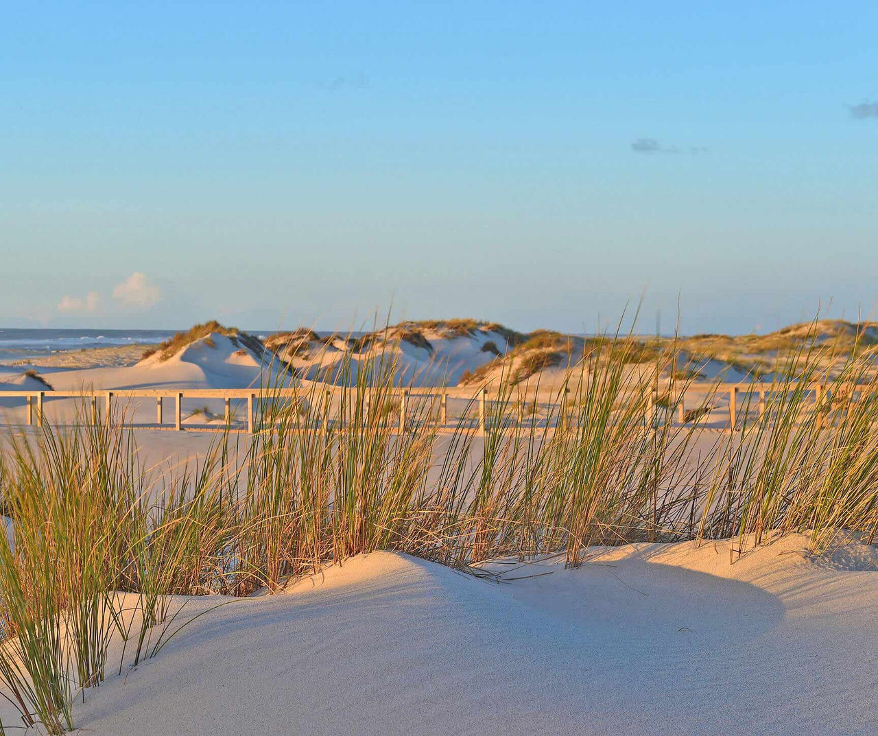 Fique num hotel Pestana no Centro de Portugal e descubra o ambiente perfeito para relaxar e respirar ar puro