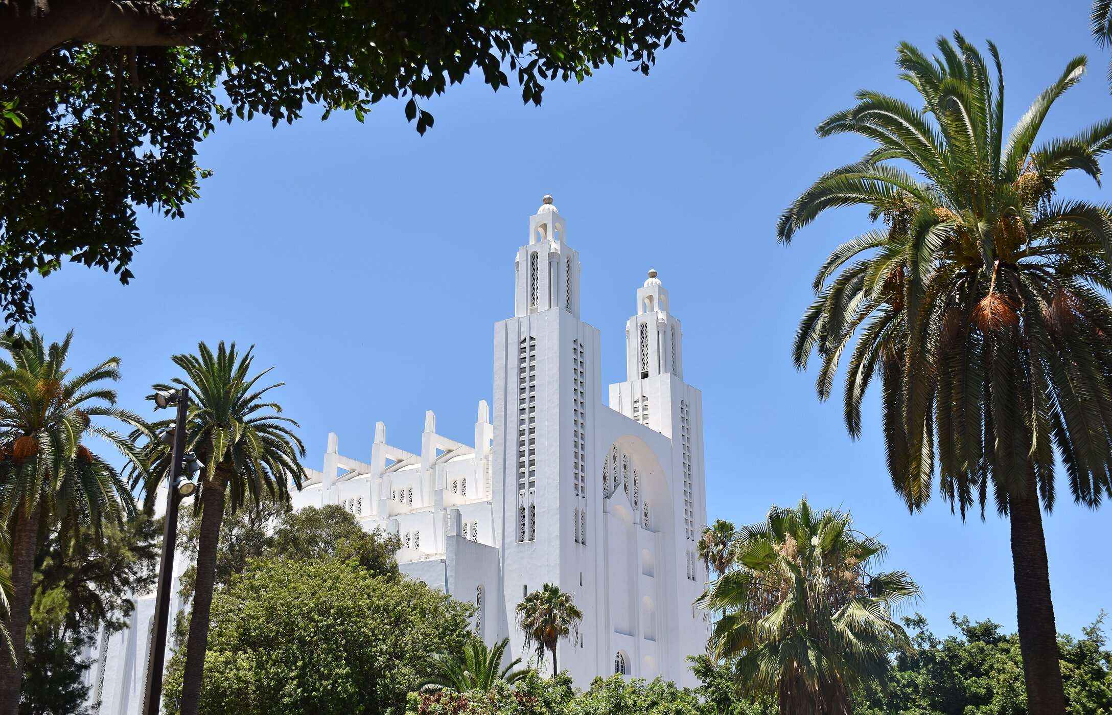 View of the white-walled Cathedral of Casablanca surrounded by different trees in the city center