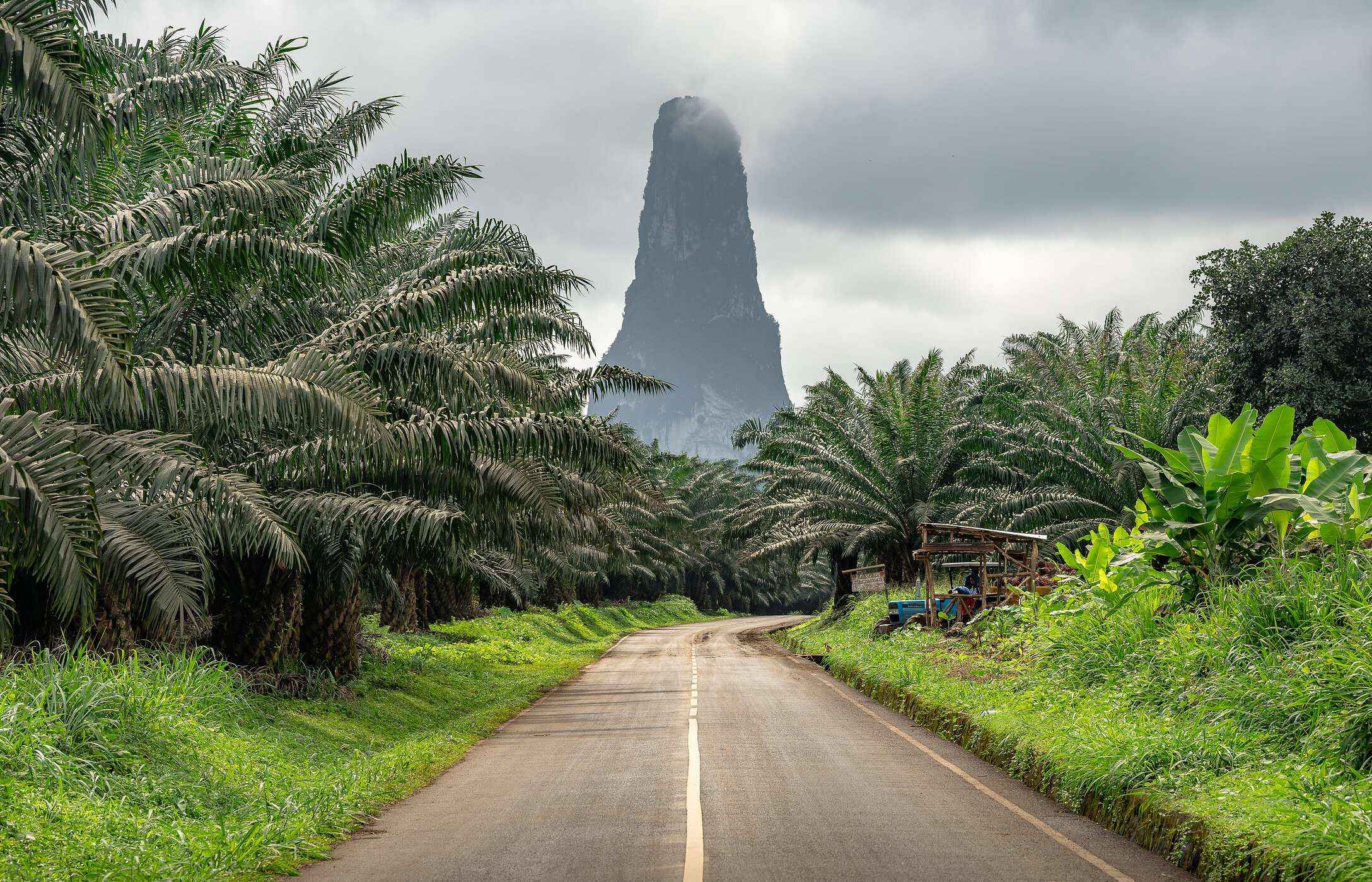 Pico Cão Grande, visible from practically the entire island, and from the road with palm trees around