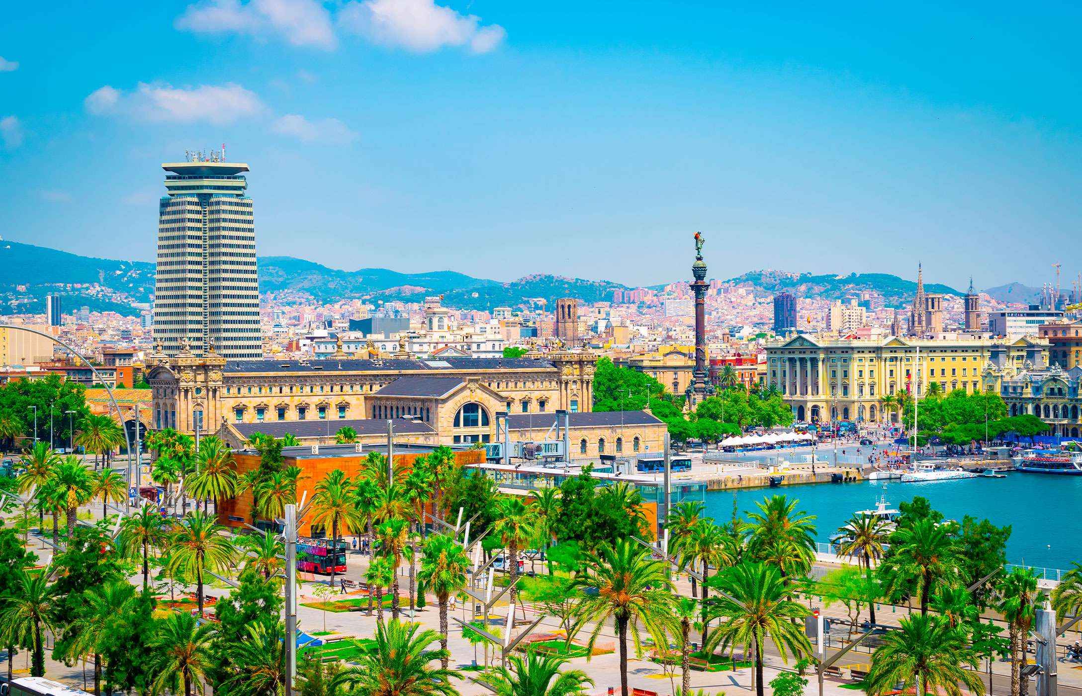 Stunning view of the Port of Barcelona, with the iconic statue of Columbus in the background surrounded by palm trees