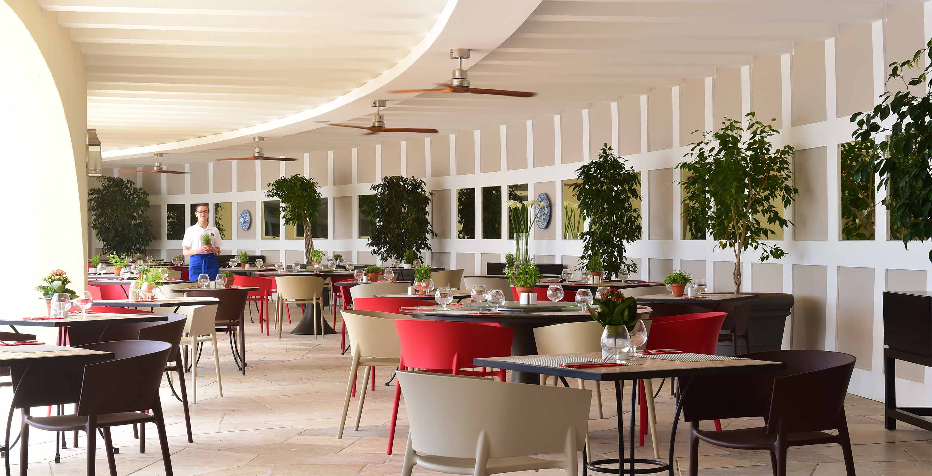 El bar Oceano, del Hotel 5 Estrellas en Algarve, con terraza exterior con pequeños árboles y sillas de colores