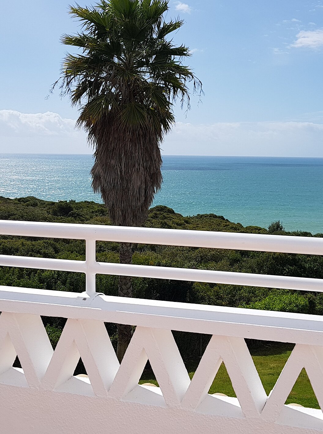 Het Appartement T2 Premium van Pestana Palm Gardens heeft een balkon met uitzicht op de groene tuin, palmbomen en de zee