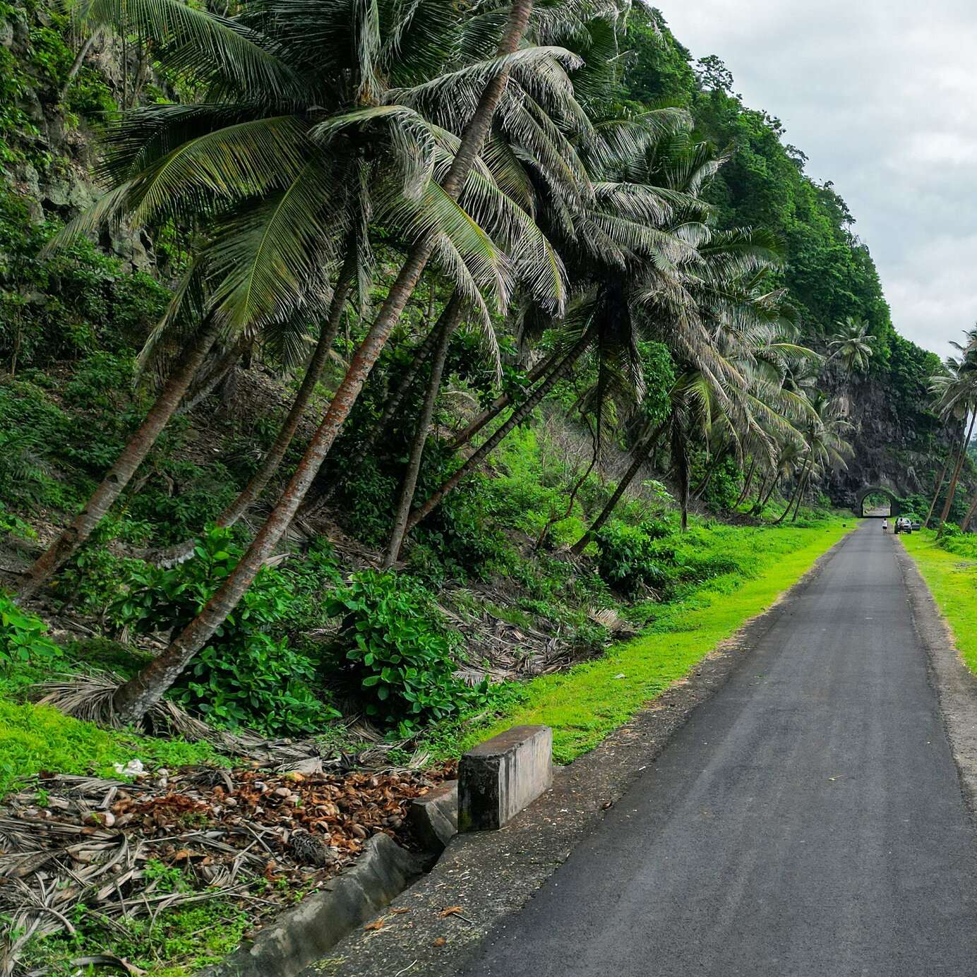 Verblijf in een Pestana-hotel en verken São Tomé en Príncipe per auto, over zijn kustwegen omgeven door vegetatie.