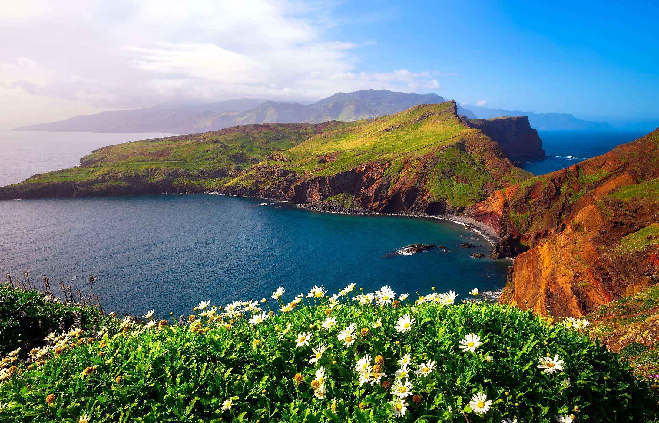 Vista para a icónica Ponta de São Lourenço, na ilha da Madeira, rodeada pelo oceano e com flores em primeiro plano
