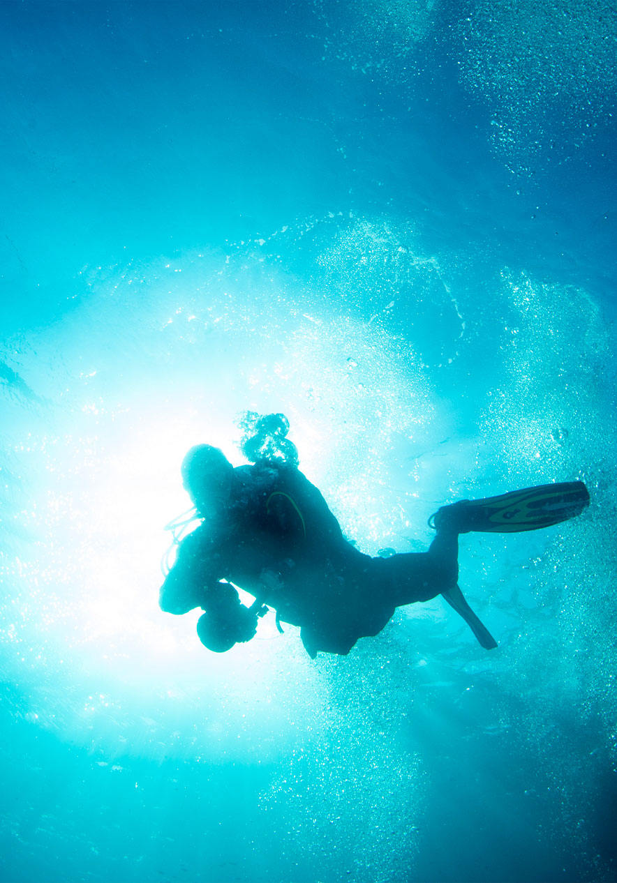 In het Ocean Revival Park kun je duiken in vier schepen en ze verkennen