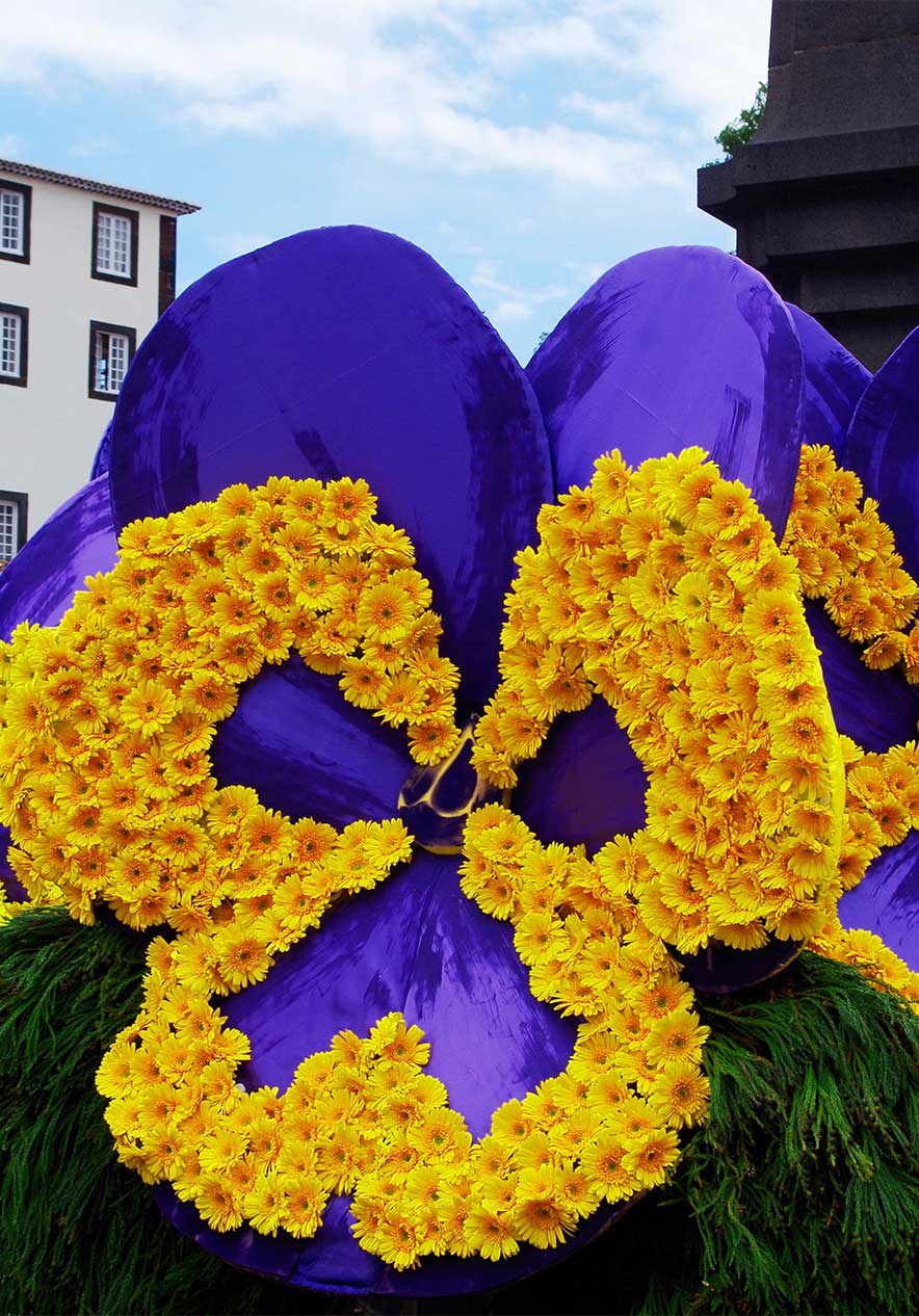Verblijf in Pestana Carlton Madeira en ontdek de kleurrijke bloemen van de Festa da Flor