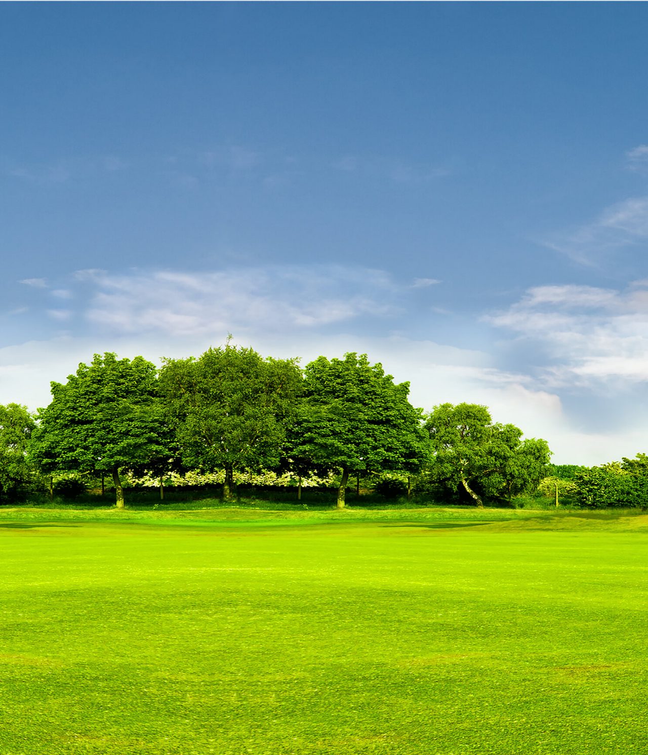 Groot groen veld omgeven door hoge bomen onder een blauwe lucht met enkele wolken, in Buenos Aires