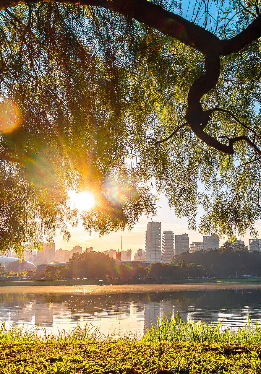 Ibirapuera Park in São Paulo, een groene oase in de stad met een meer dat de blauwe lucht weerspiegelt