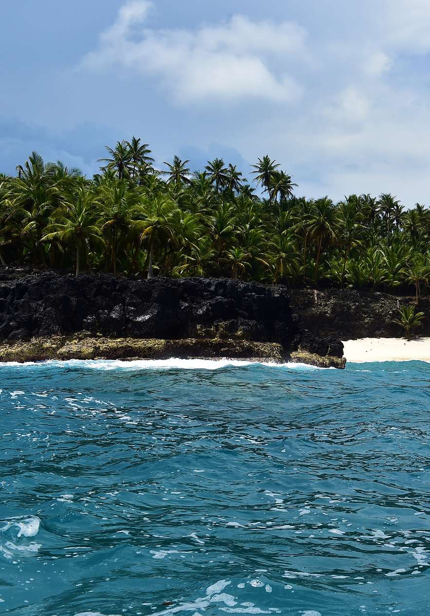 View from inside a small blue boat sailing towards the rocky coast with palm trees on Ilhéu das Rolas