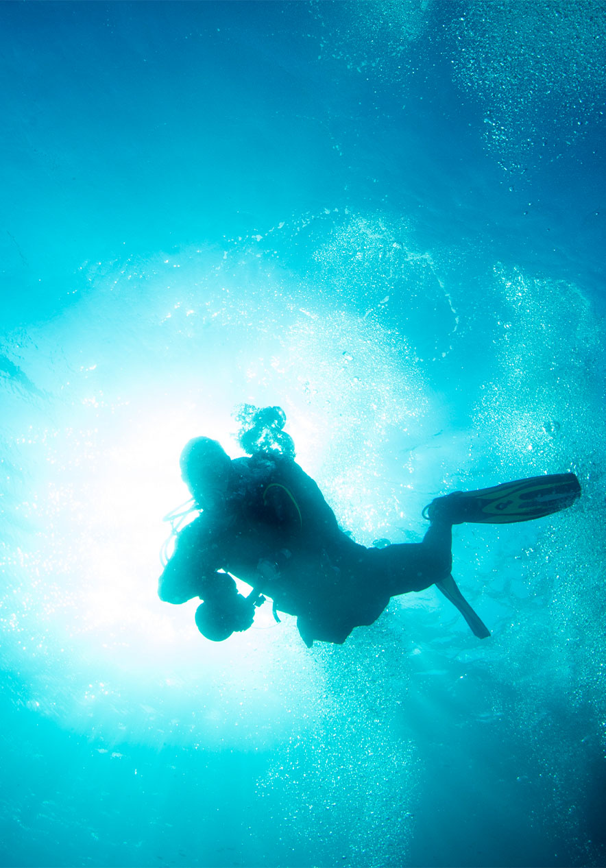 At Ocean Revival Park you have the opportunity to dive into four ships and explore them