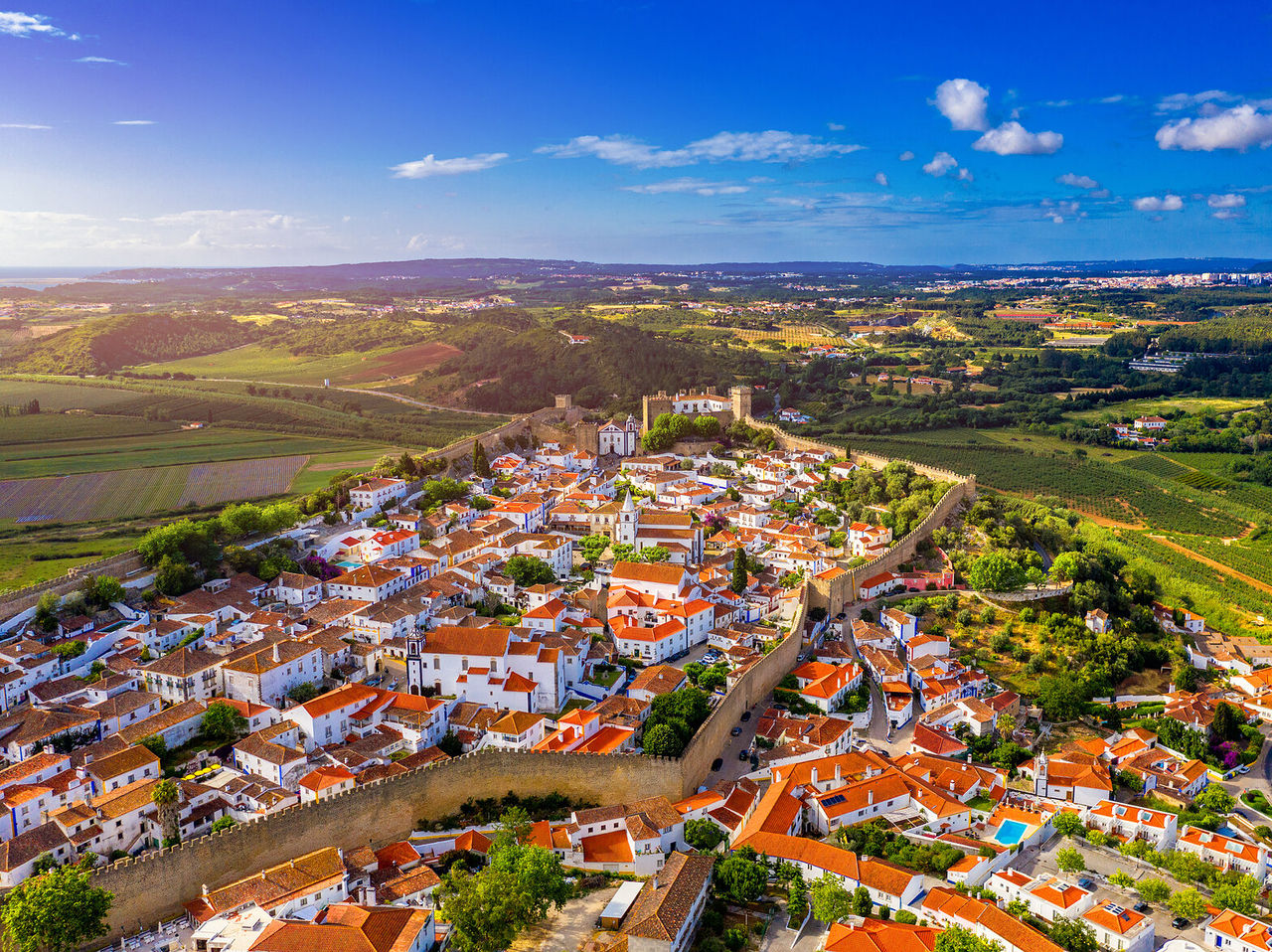 Aerial view of a village surrounded by green fields, with part of the village enclosed by walls