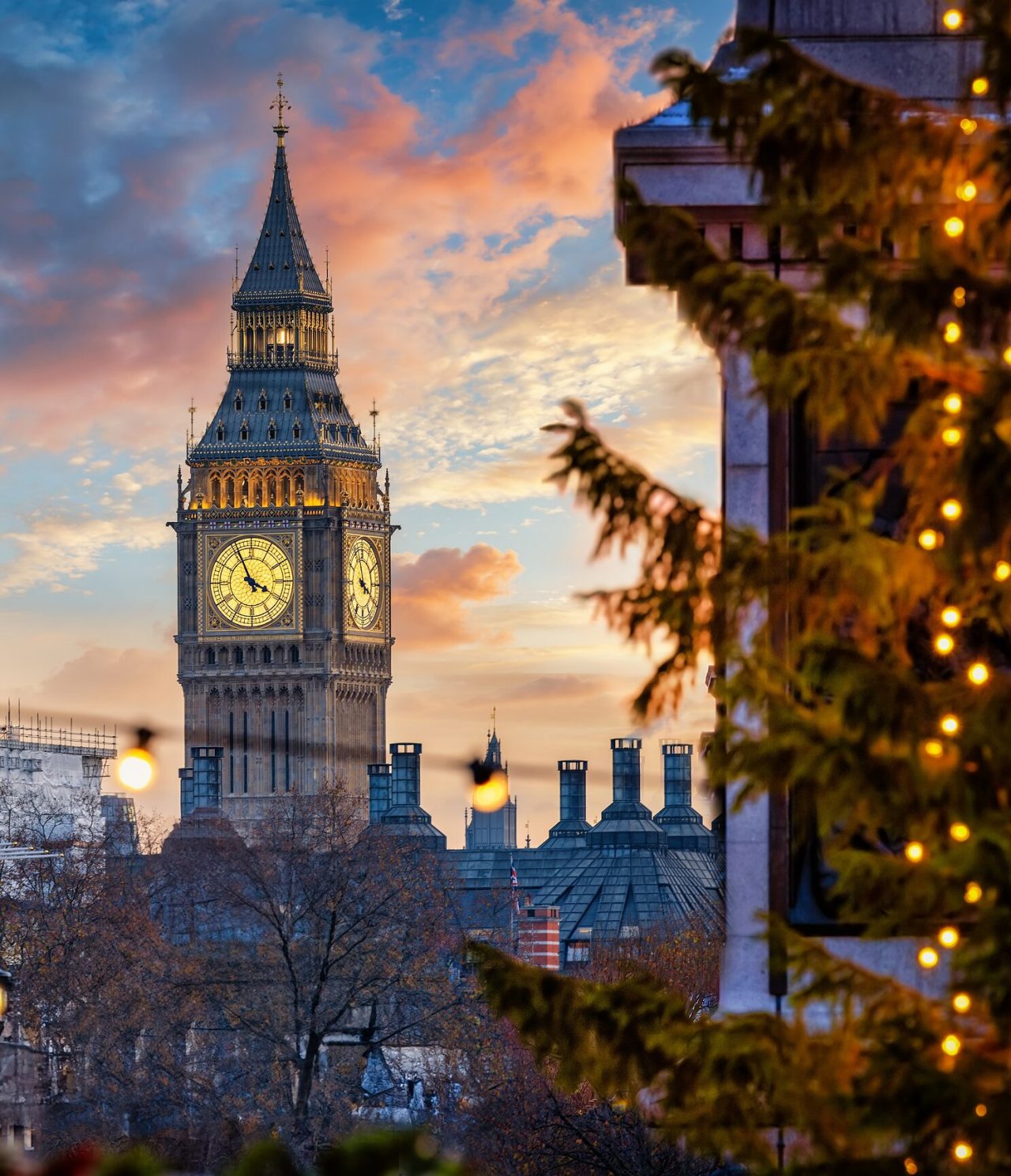 View from behind a tree of the famous Big Ben, with its clock featuring golden details and black hands