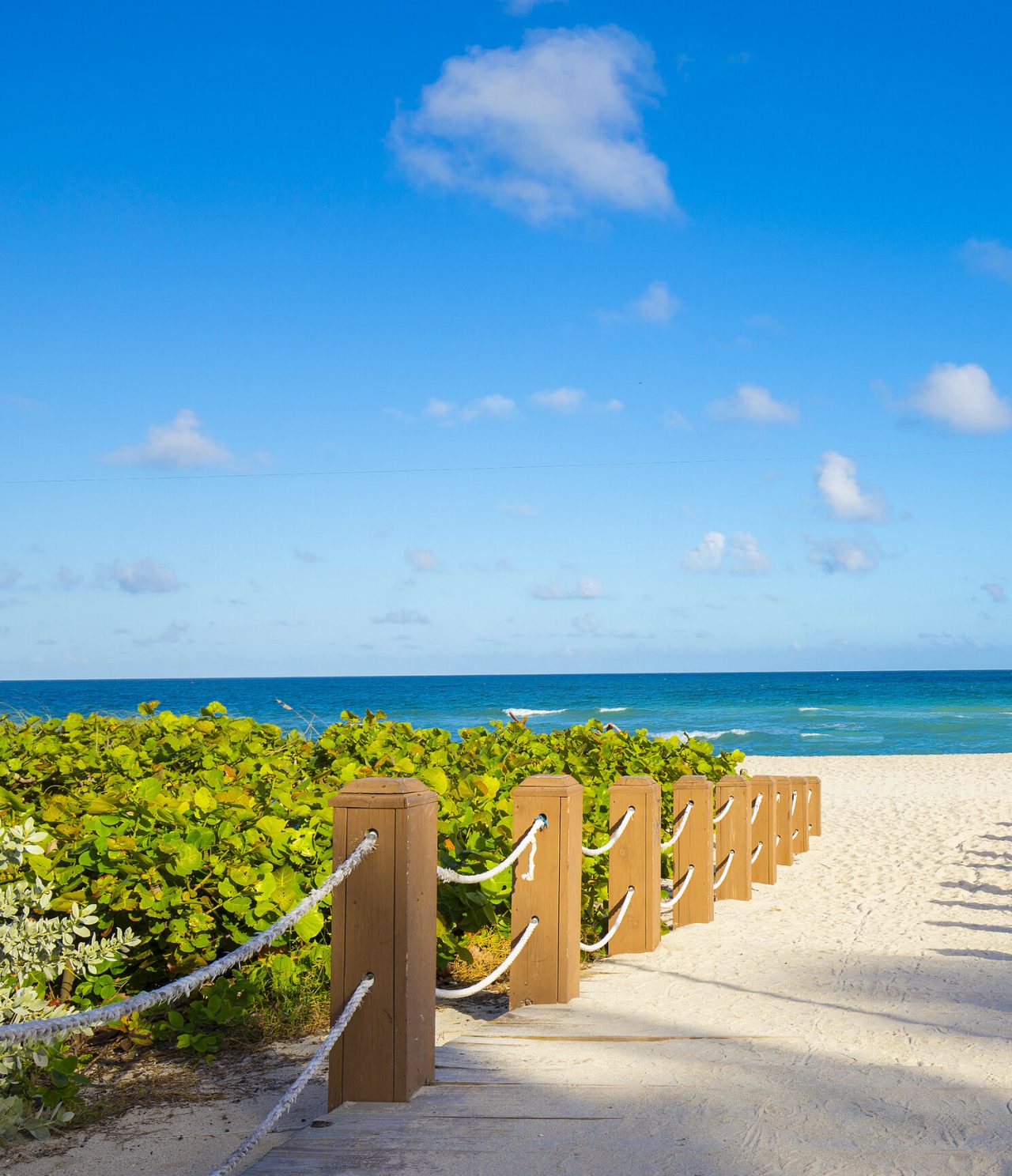 White sand beach and crystal-clear blue sea, with green vegetation and a wooden walkway to the beach