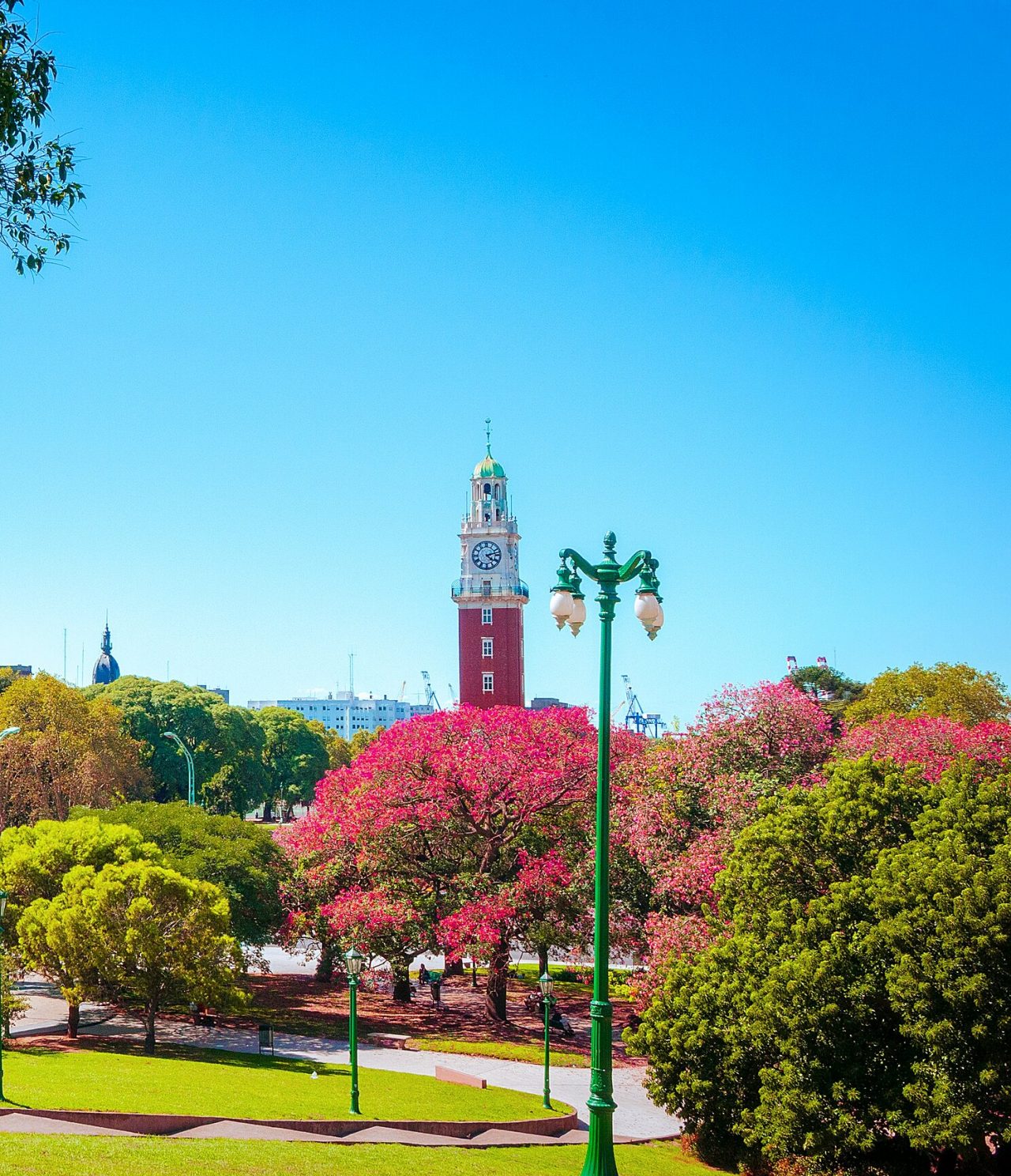 View of the iconic Plaza de Mayo in Buenos Aires, with the Cabildo in the background, flowering trees, and the Argentine flag